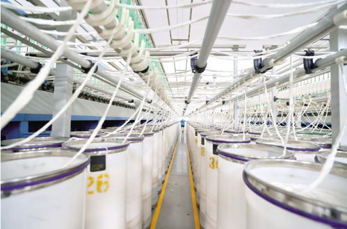 工人在冠星纺织集团粗纱车间开展巡检作业
