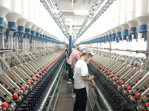 魏桥纺织节后开台忙 新春 开门红