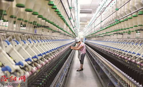 洛阳白马纺织集团 发挥技术优势 产品远销欧洲