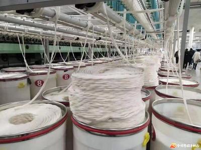 华容县2家棉纺织企业共获得2019年国家棉花进口关税配额1166吨