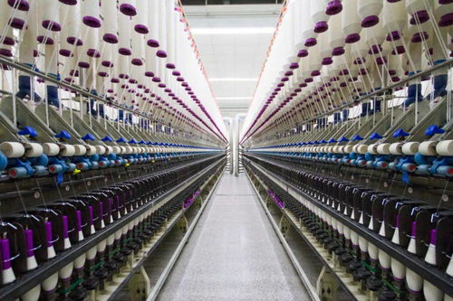 动态 奔达纺织 产业链协同创新,提升市场竞争力 纺织服装周刊 今天