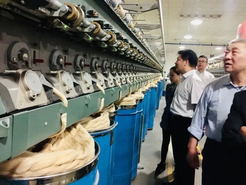 金华仅此一家 九舜纺织成功入选全国第二批纺织行业 专精特新 中小企业