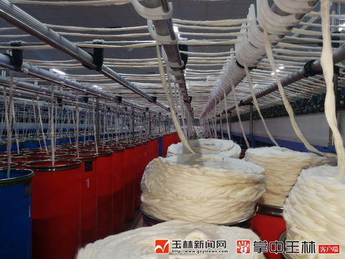 陆川县 打造百亿纺织城 恒和纺织正式投产