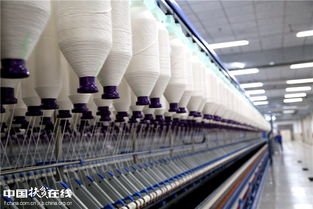 新疆呼图壁县 纺织带动就业助增收