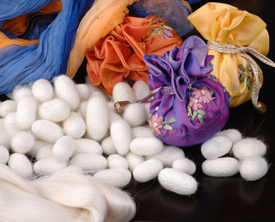 Tao整体家居:探秘蚕丝家纺 现代家居的丝绸之路