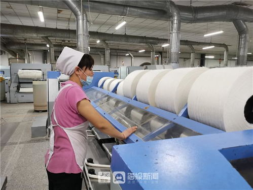 单厂日用量20余吨 德州 用棉大户 为新疆棉花站台