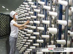 钱金耐委员 加快推进新疆纺织服装产业中心建设