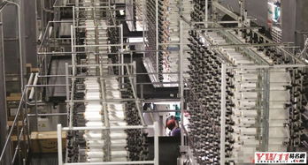 纺织公司起名指南 创意与实用并存