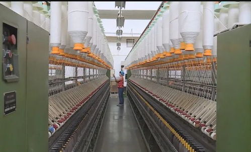 我县纺织企业吹响复工复产集结号