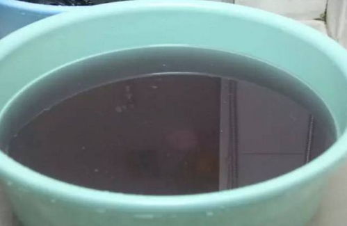 新买的衣服，洗还是不洗？纺织专家的建议你不能忽视